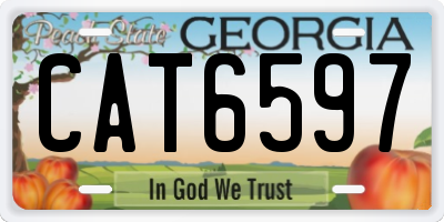 GA license plate CAT6597