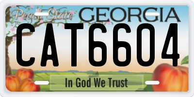 GA license plate CAT6604