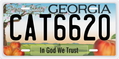 GA license plate CAT6620