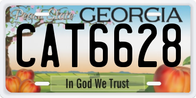 GA license plate CAT6628