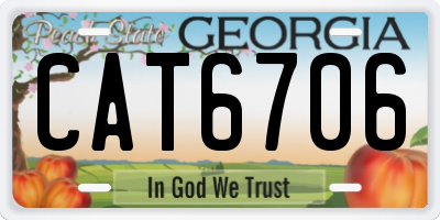 GA license plate CAT6706