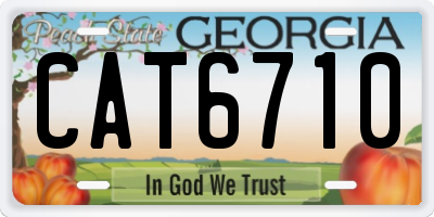 GA license plate CAT6710