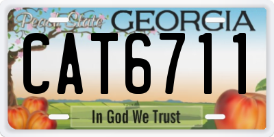 GA license plate CAT6711
