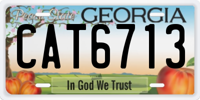 GA license plate CAT6713