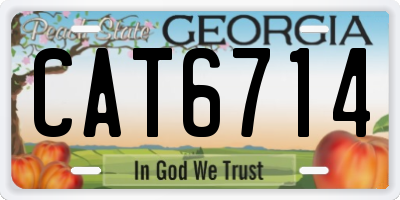 GA license plate CAT6714