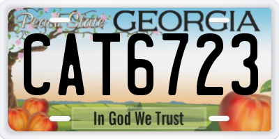 GA license plate CAT6723