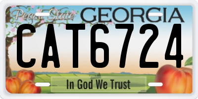 GA license plate CAT6724