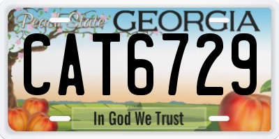 GA license plate CAT6729