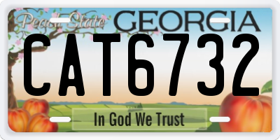 GA license plate CAT6732