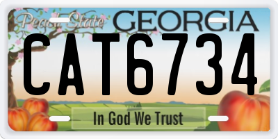 GA license plate CAT6734