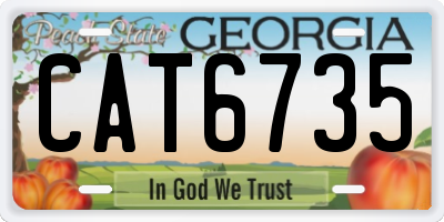 GA license plate CAT6735