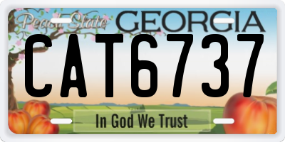 GA license plate CAT6737