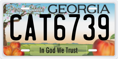 GA license plate CAT6739