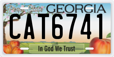 GA license plate CAT6741