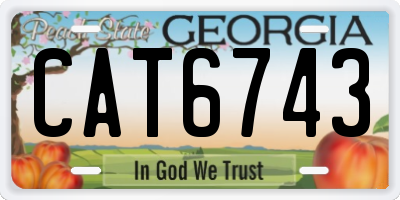 GA license plate CAT6743
