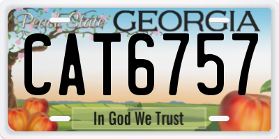 GA license plate CAT6757