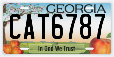 GA license plate CAT6787