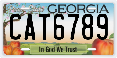 GA license plate CAT6789