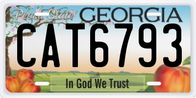 GA license plate CAT6793
