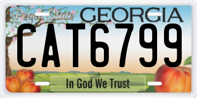 GA license plate CAT6799