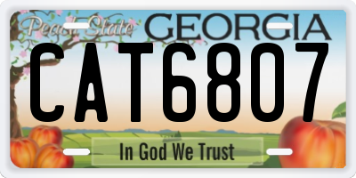 GA license plate CAT6807