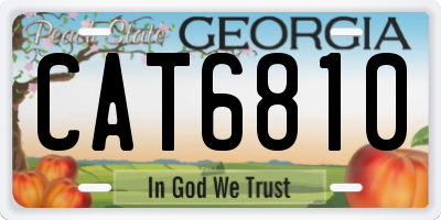 GA license plate CAT6810