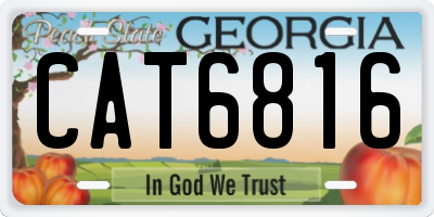 GA license plate CAT6816