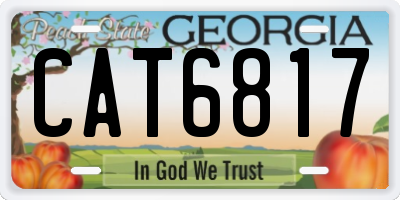 GA license plate CAT6817