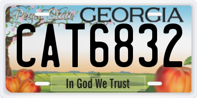 GA license plate CAT6832