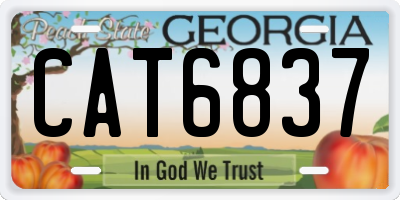GA license plate CAT6837