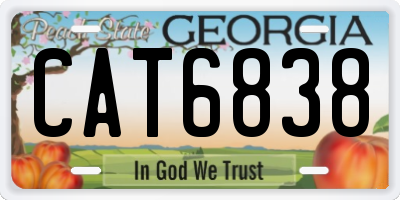 GA license plate CAT6838