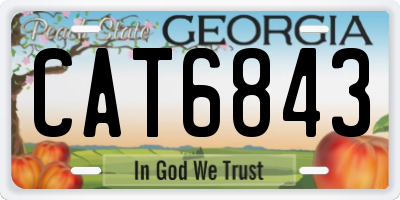 GA license plate CAT6843