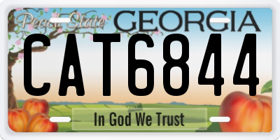 GA license plate CAT6844
