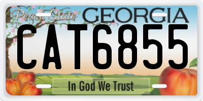 GA license plate CAT6855