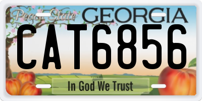 GA license plate CAT6856