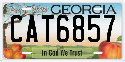 GA license plate CAT6857