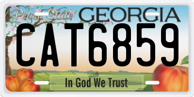 GA license plate CAT6859
