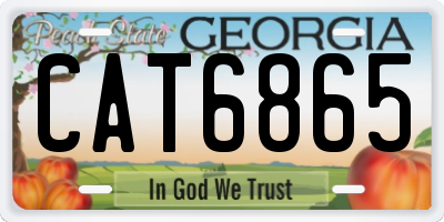 GA license plate CAT6865