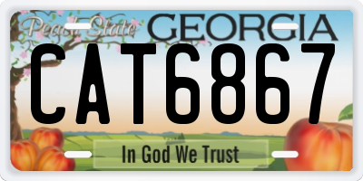 GA license plate CAT6867