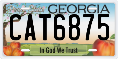 GA license plate CAT6875