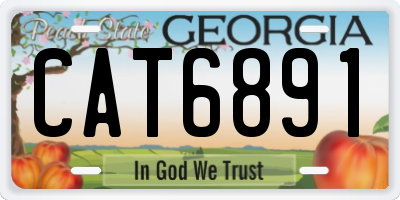 GA license plate CAT6891