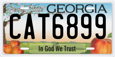 GA license plate CAT6899