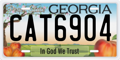 GA license plate CAT6904