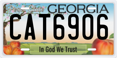 GA license plate CAT6906