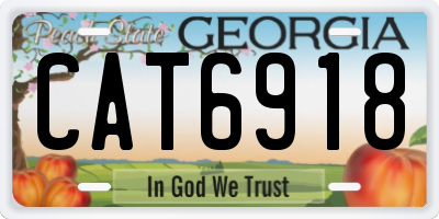 GA license plate CAT6918