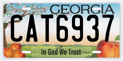 GA license plate CAT6937