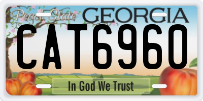 GA license plate CAT6960