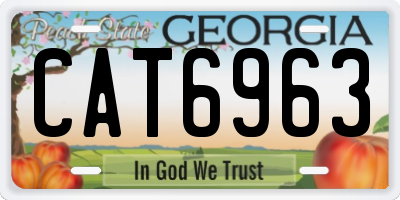 GA license plate CAT6963