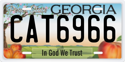 GA license plate CAT6966