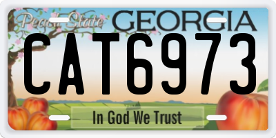 GA license plate CAT6973